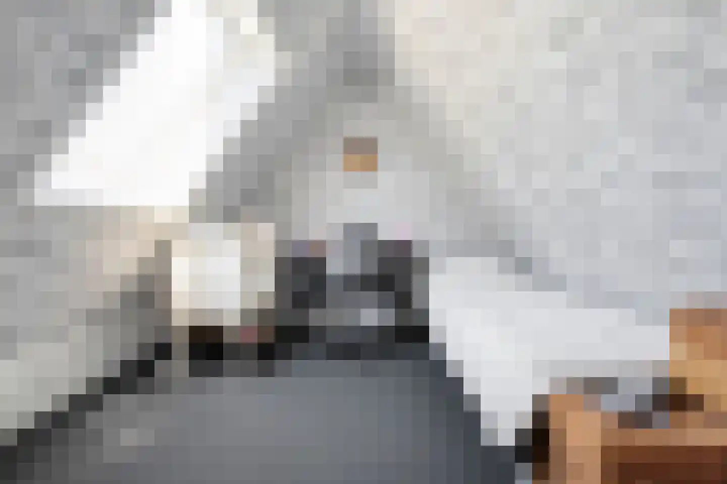 De Oplegger 14 Rijssen thumbnail 63