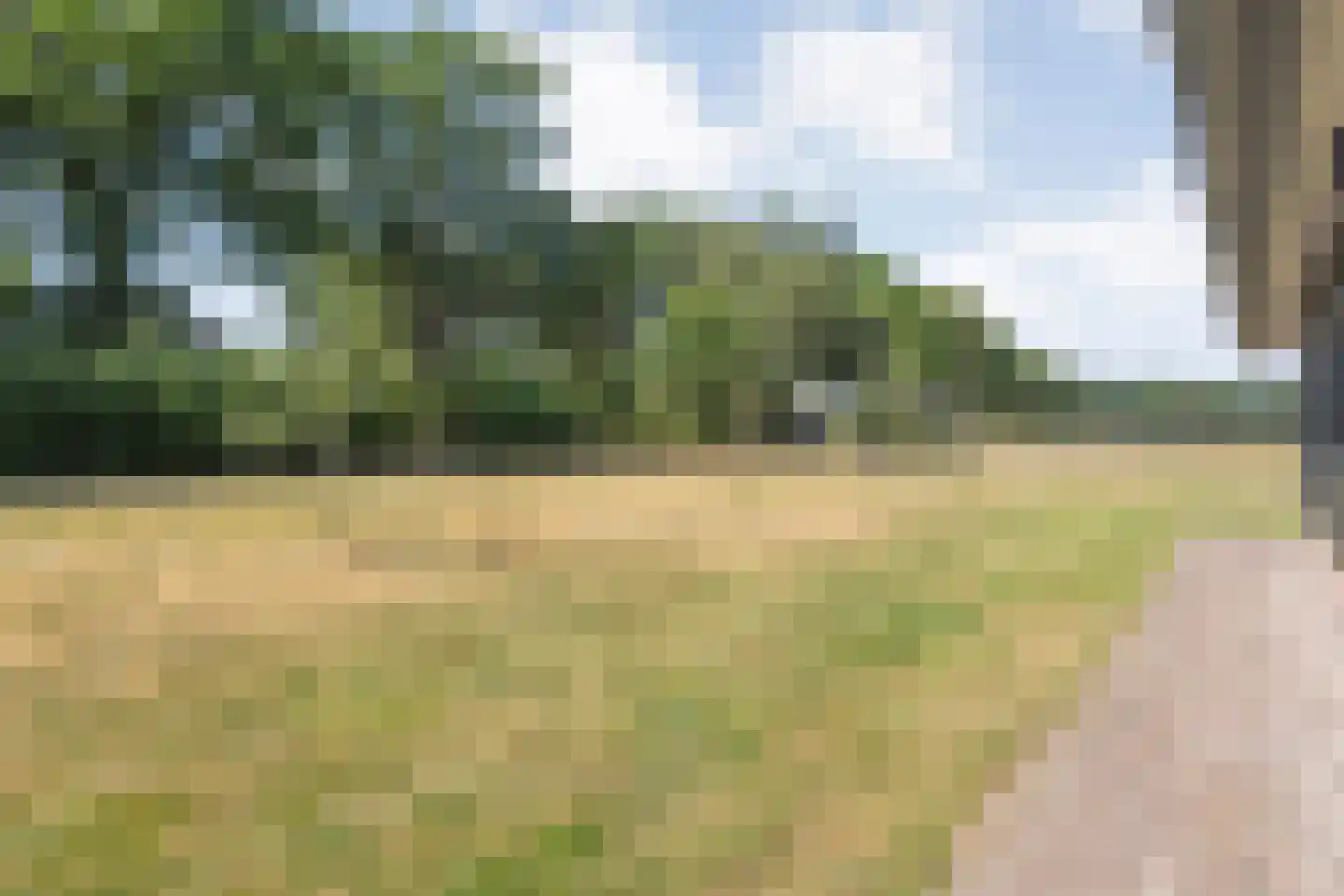 De Oplegger 14 Rijssen thumbnail 73
