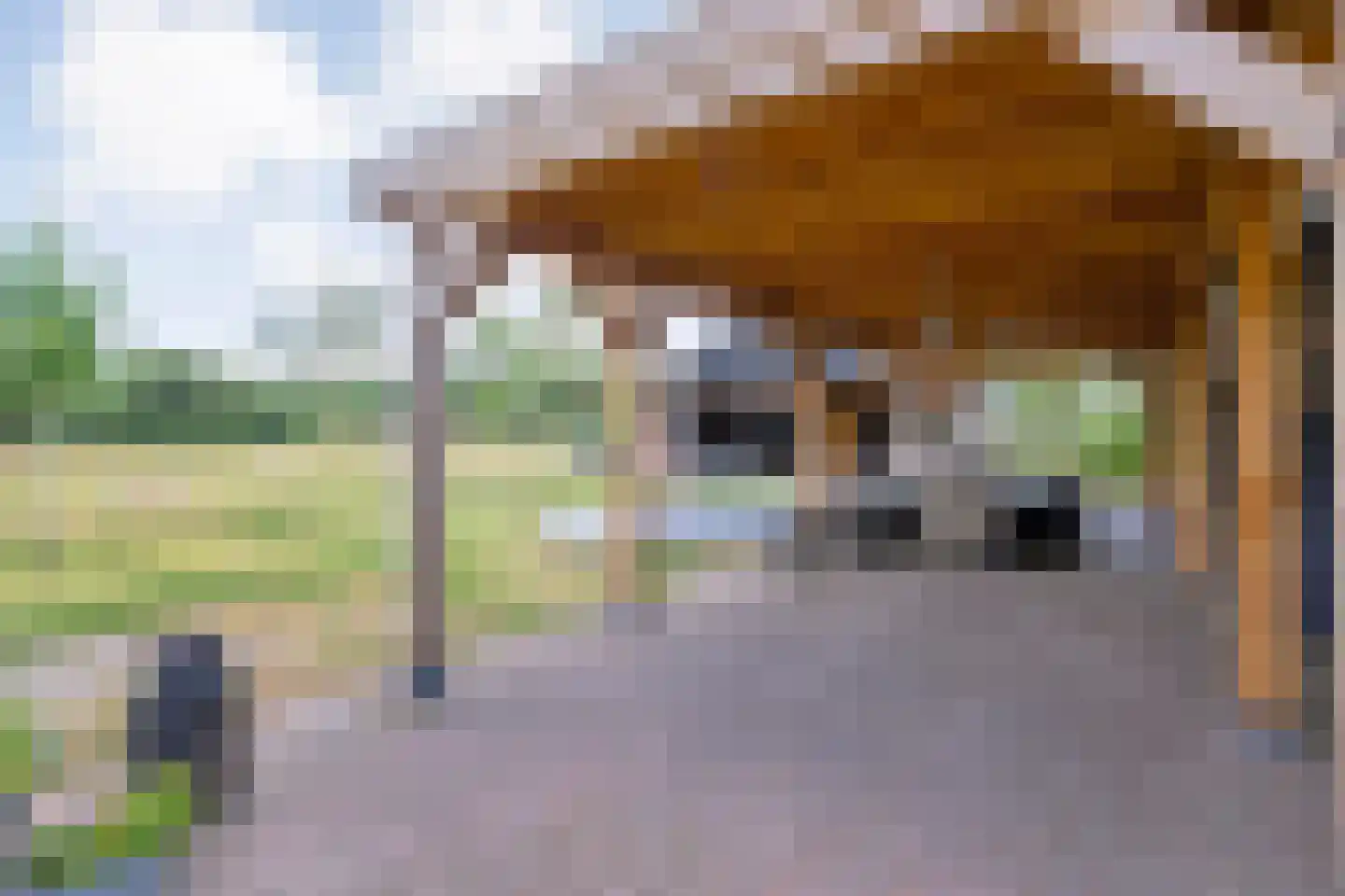 De Oplegger 14 Rijssen thumbnail 80