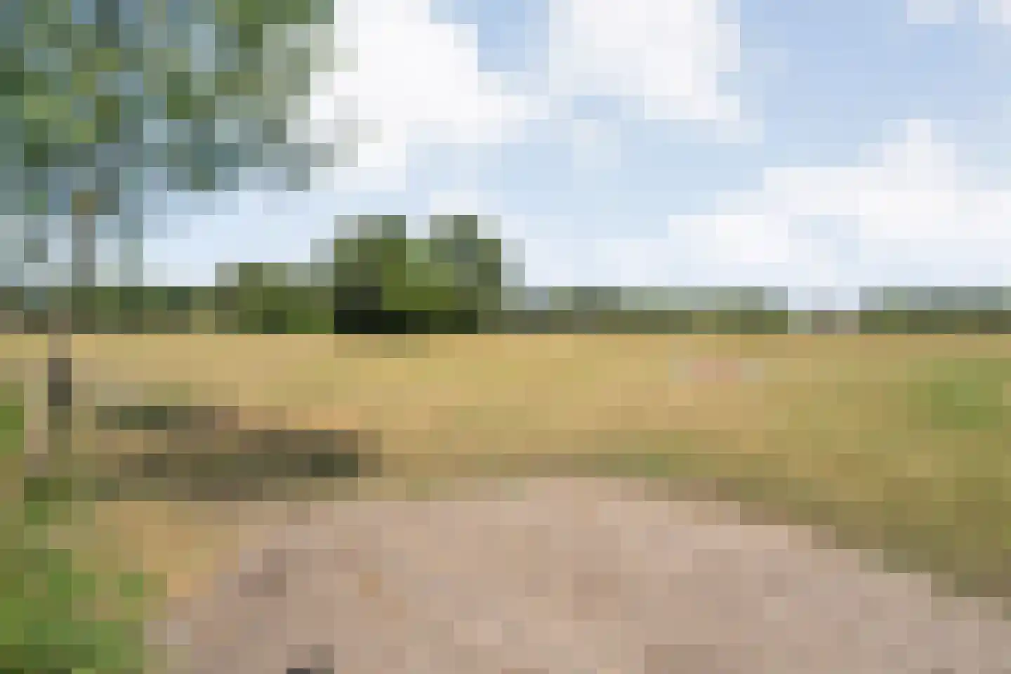 De Oplegger 14 Rijssen thumbnail 86