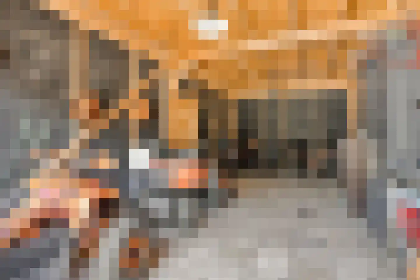De Oplegger 14 Rijssen thumbnail 89