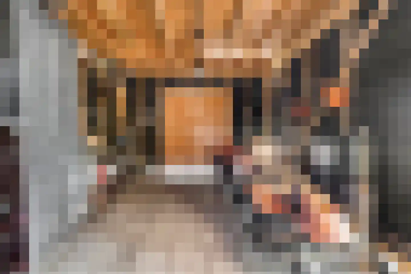 De Oplegger 14 Rijssen thumbnail 91