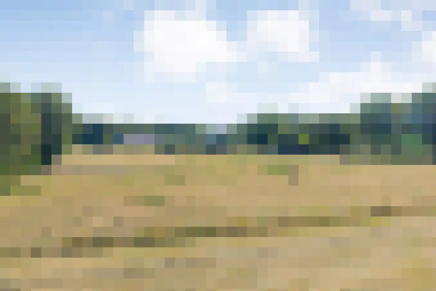 De Oplegger 14 Rijssen thumbnail 93