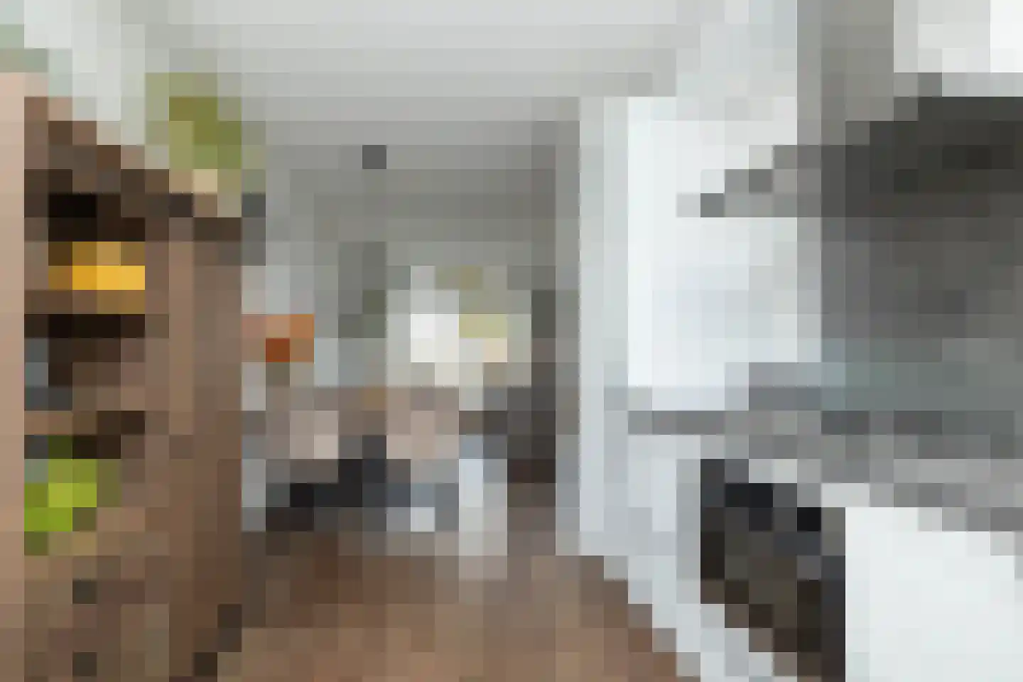De Oplegger 6 Hollandscheveld thumbnail 17