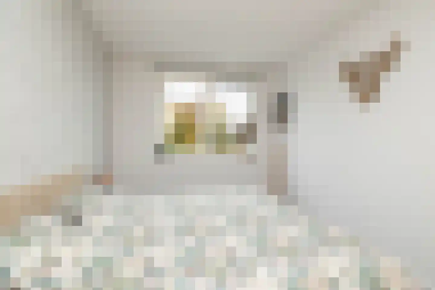 De Oplegger 6 Hollandscheveld thumbnail 23