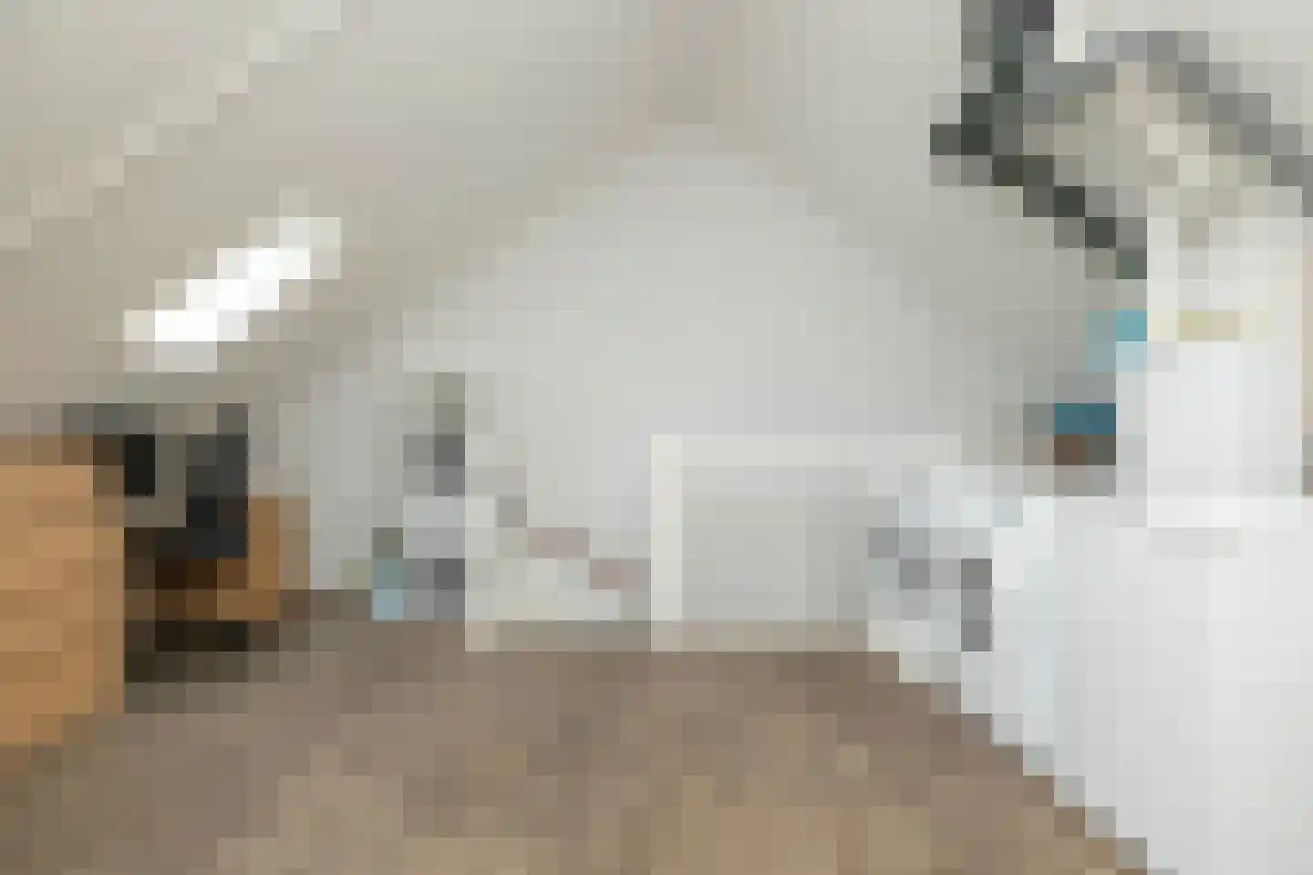 De Oplegger 6 Hollandscheveld thumbnail 35