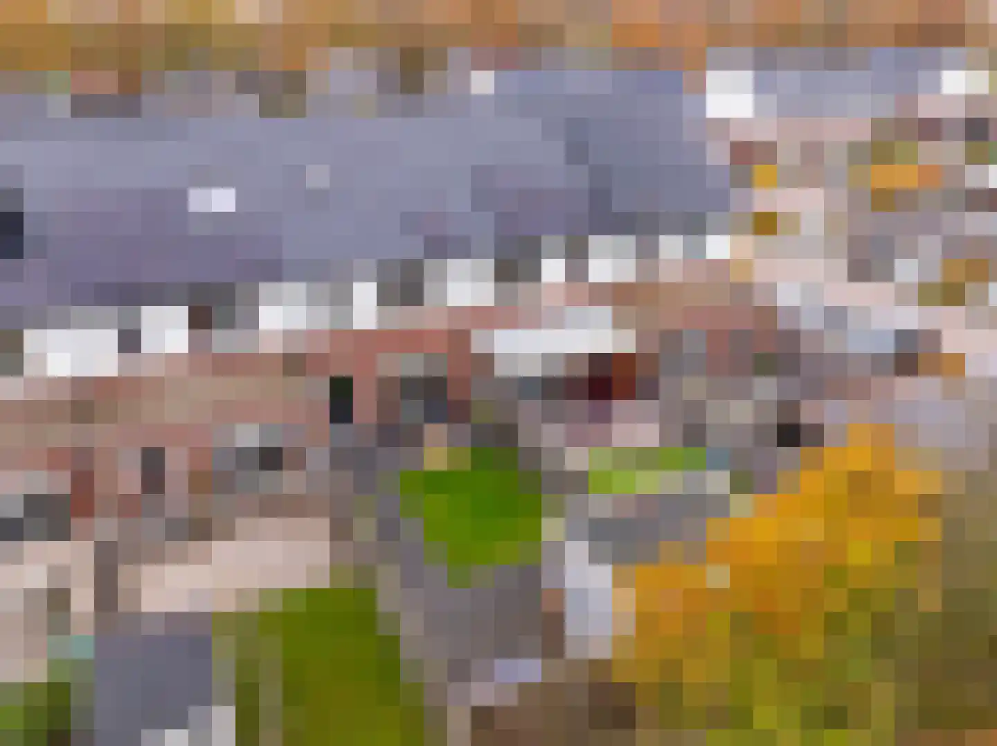 De Oplegger 6 Hollandscheveld thumbnail 37