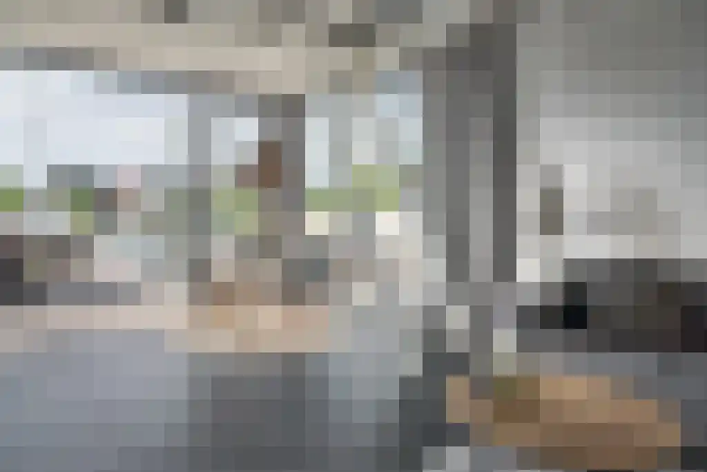 De Opper 12 19 Heeg thumbnail 8