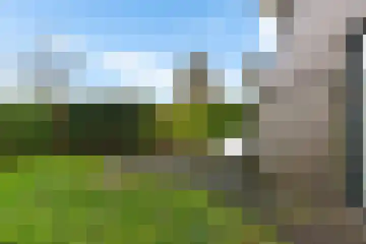 De Opper 12 26 Heeg thumbnail 21