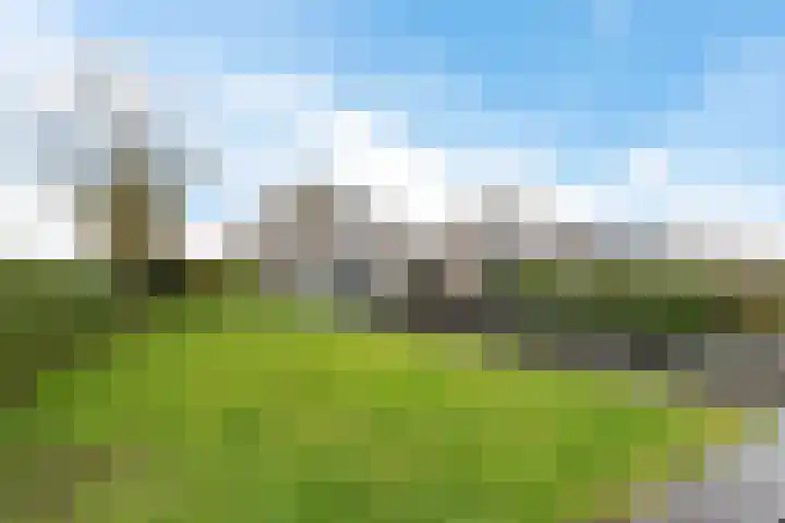 De Opper 12 26 Heeg thumbnail 23