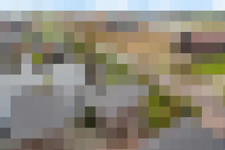 De Opper 12 26 Heeg thumbnail 33