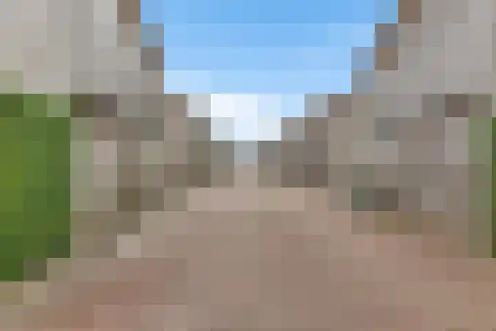 De Opper 12 26 Heeg thumbnail 38