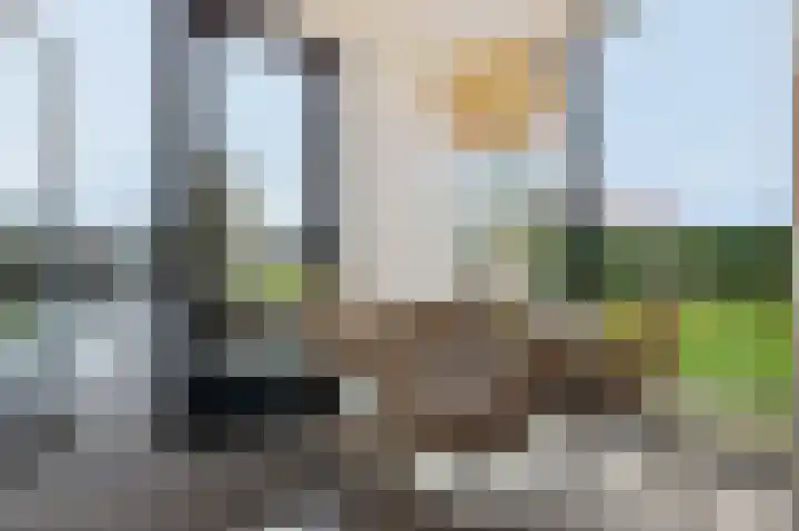 De Opper 12 26 Heeg thumbnail 6