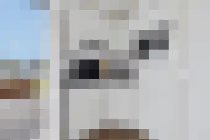 De Opper 12 37 Heeg thumbnail 11