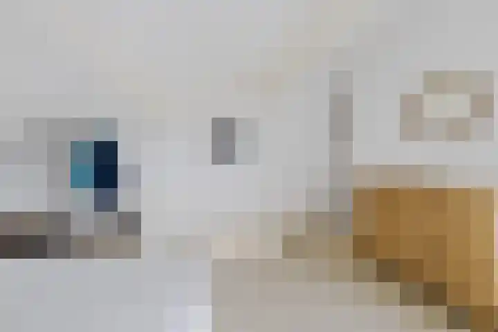 De Opper 12 37 Heeg thumbnail 15