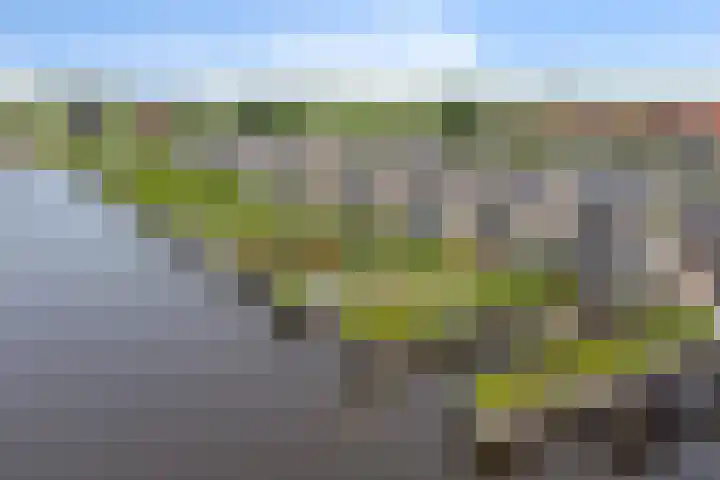 De Opper 12 37 Heeg thumbnail 26