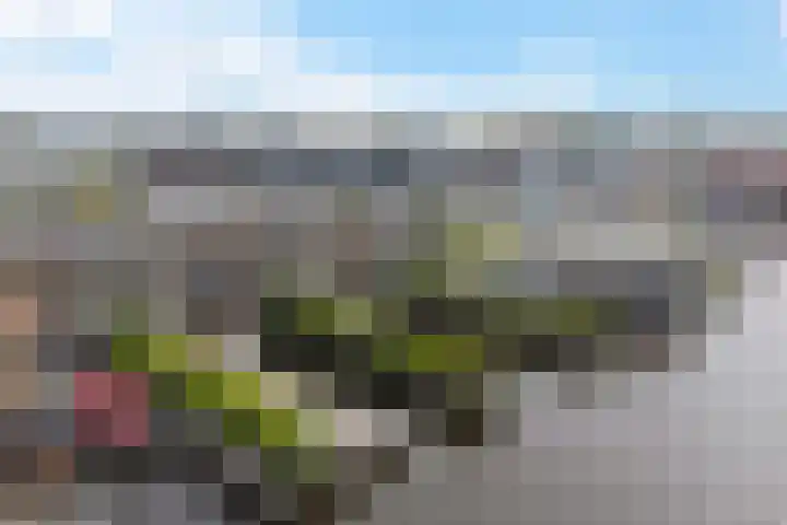 De Opper 12 37 Heeg thumbnail 27