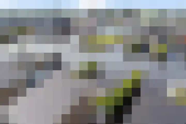 De Opper 12 37 Heeg thumbnail 28