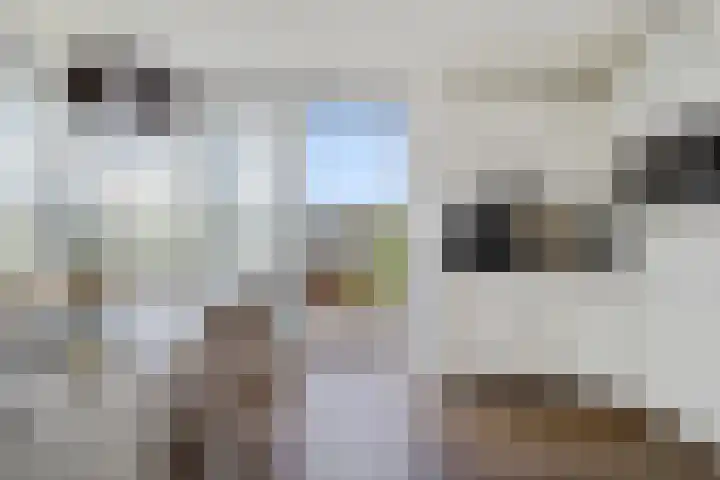 De Opper 12 37 Heeg thumbnail 8