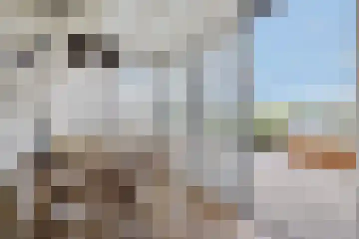 De Opper 12 37 Heeg thumbnail 9