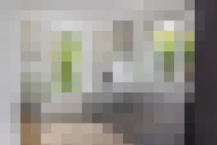 de Opper 5 Sneek thumbnail 13