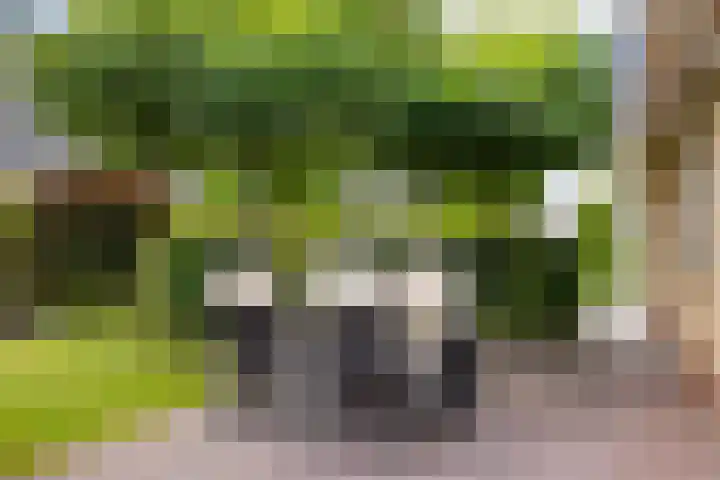 de Opper 5 Sneek thumbnail 21