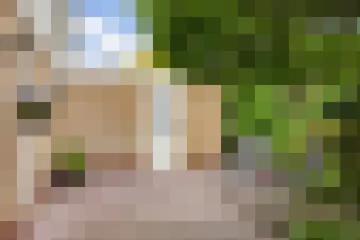 de Opper 5 Sneek thumbnail 22