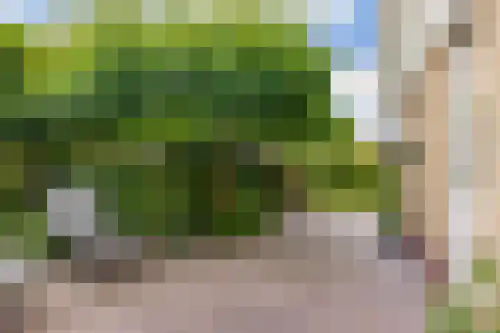 de Opper 5 Sneek thumbnail 23