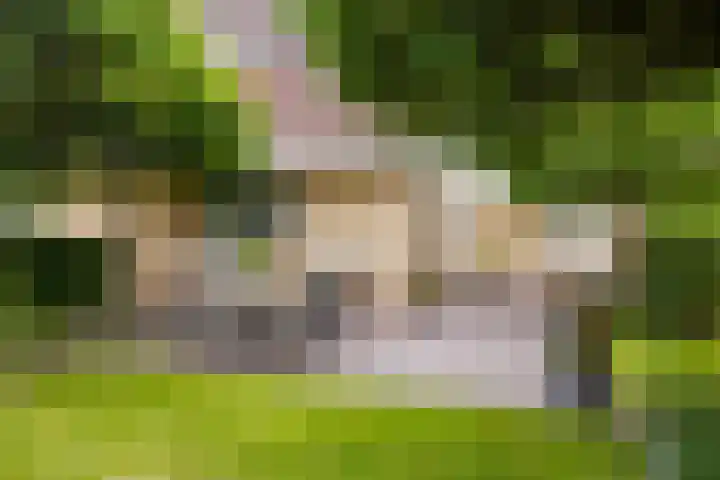 de Opper 5 Sneek thumbnail 24