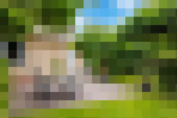 de Opper 5 Sneek thumbnail 25