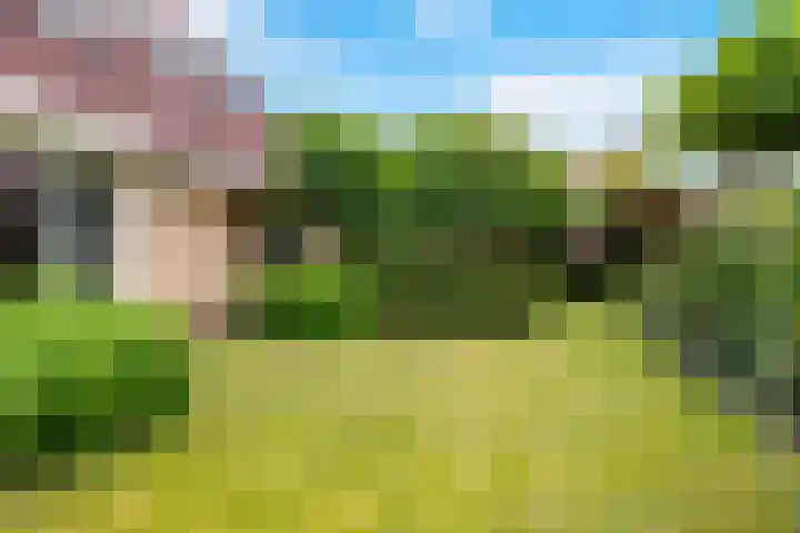 de Opper 5 Sneek thumbnail 27