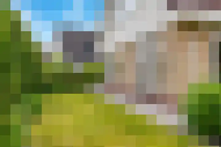 de Opper 5 Sneek thumbnail 28