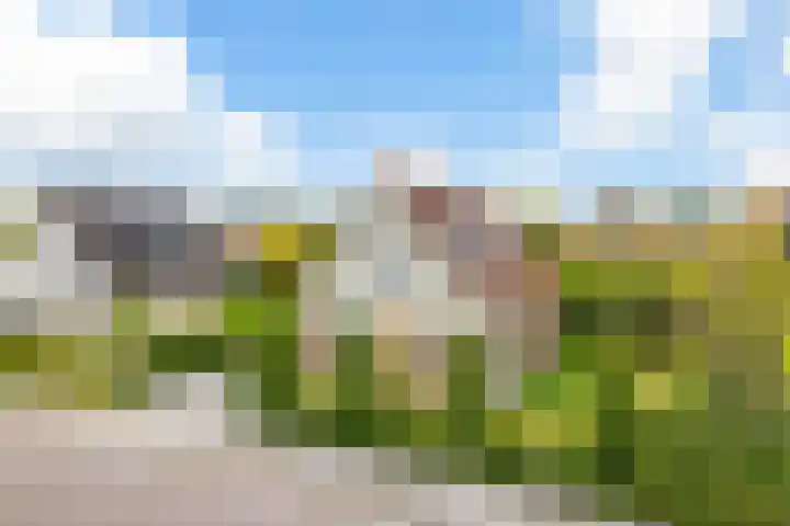 de Opper 5 Sneek thumbnail 4