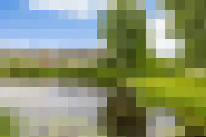 de Opper 5 Sneek thumbnail 45