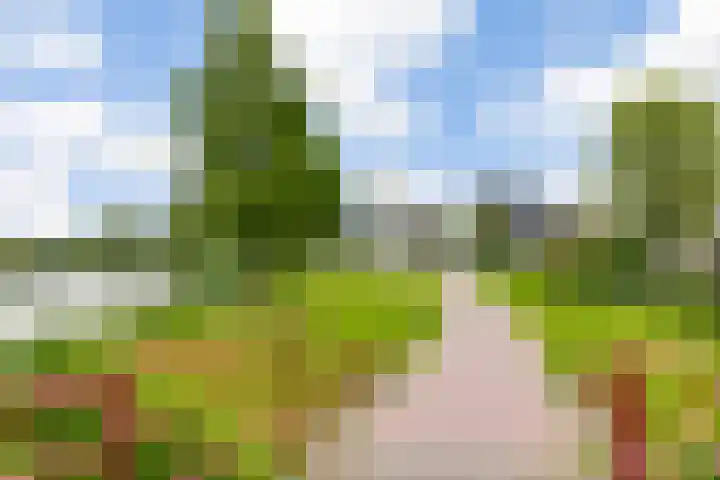 de Opper 5 Sneek thumbnail 46