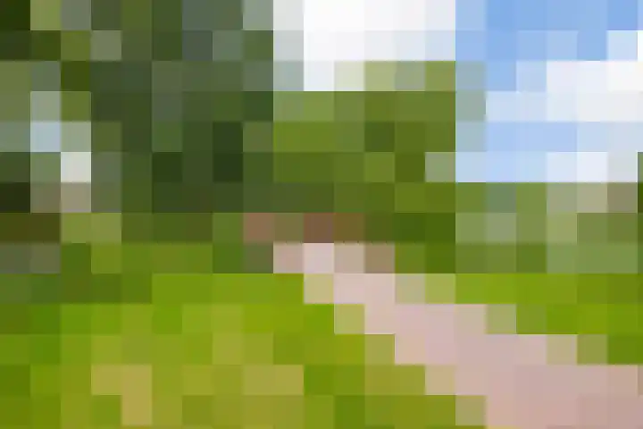 de Opper 5 Sneek thumbnail 47