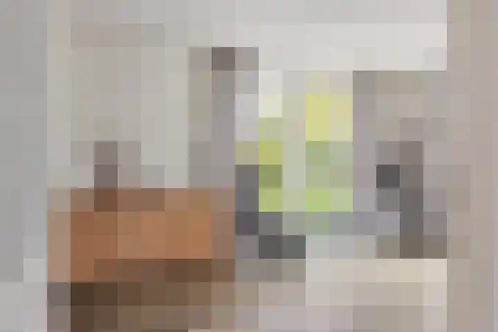 de Opper 5 Sneek thumbnail 9
