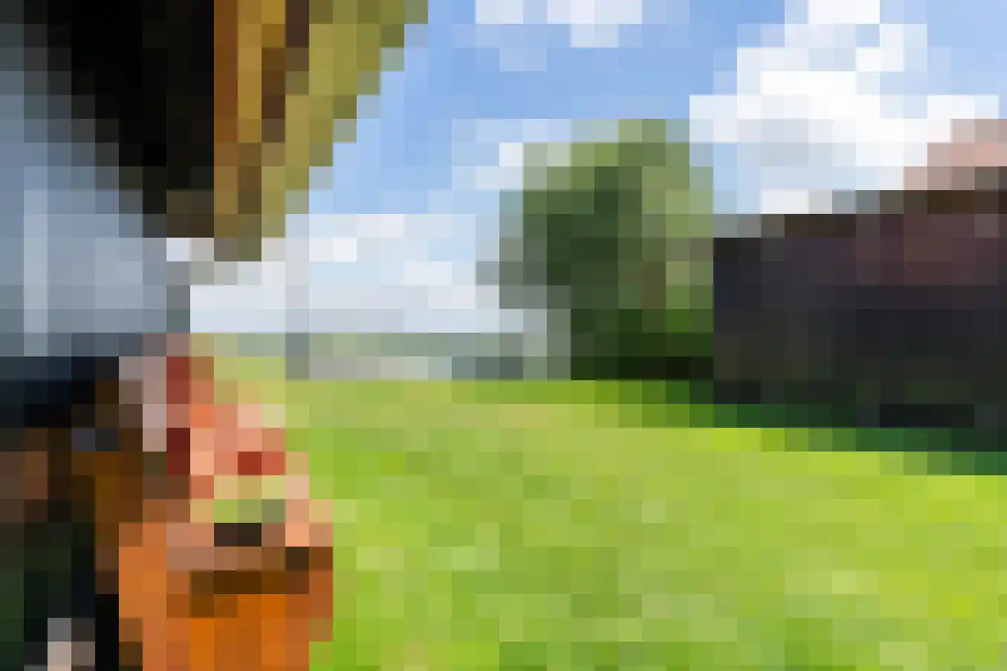 De Opper 51 Heeg thumbnail 58