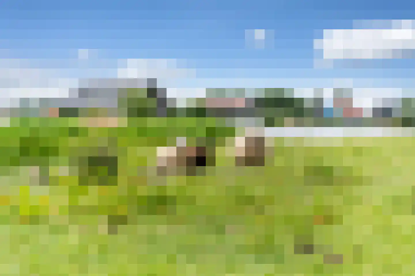 De Opper 51 Heeg thumbnail 78
