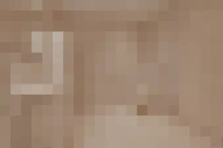 de Oppervloer 9 Meliskerke thumbnail 15