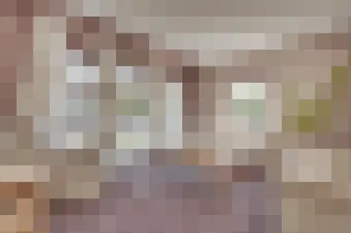 de Oppervloer 9 Meliskerke thumbnail 17