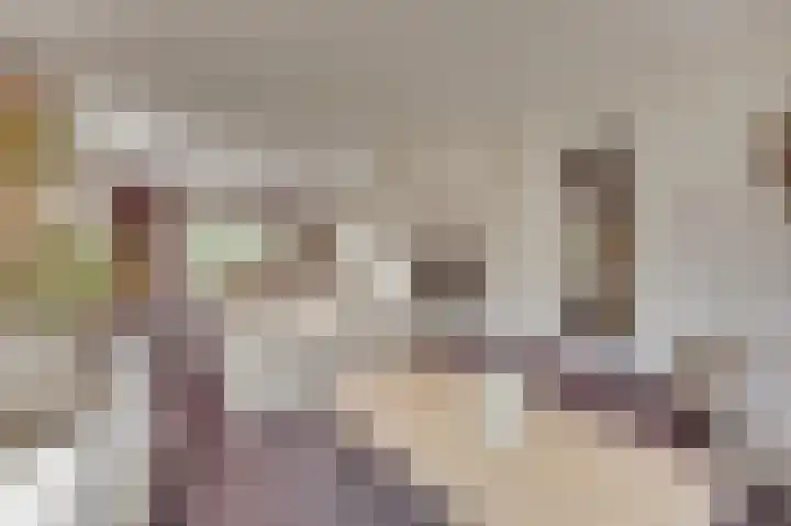 de Oppervloer 9 Meliskerke thumbnail 18