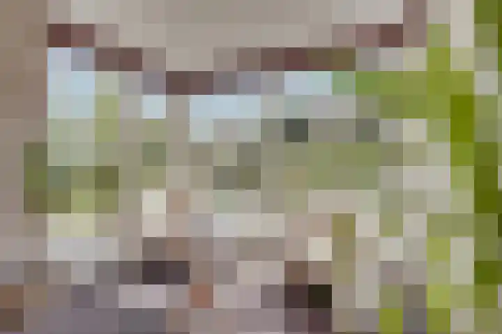 de Oppervloer 9 Meliskerke thumbnail 19