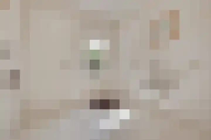 de Oppervloer 9 Meliskerke thumbnail 27