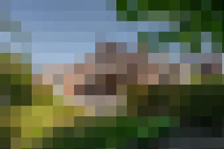 de Oppervloer 9 Meliskerke thumbnail 38