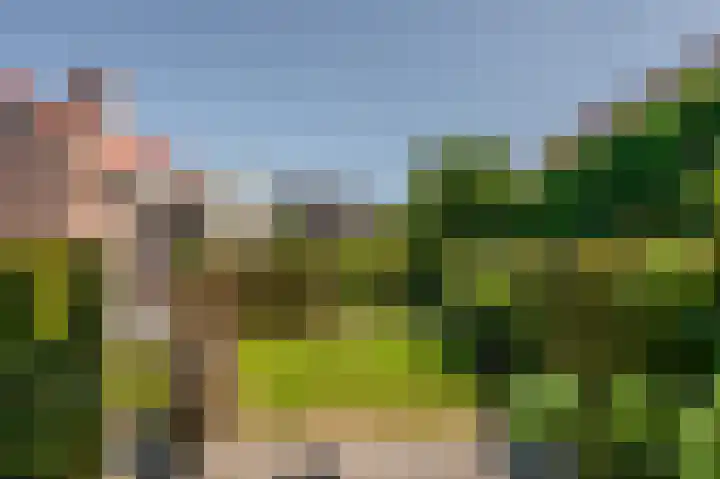 de Oppervloer 9 Meliskerke thumbnail 4