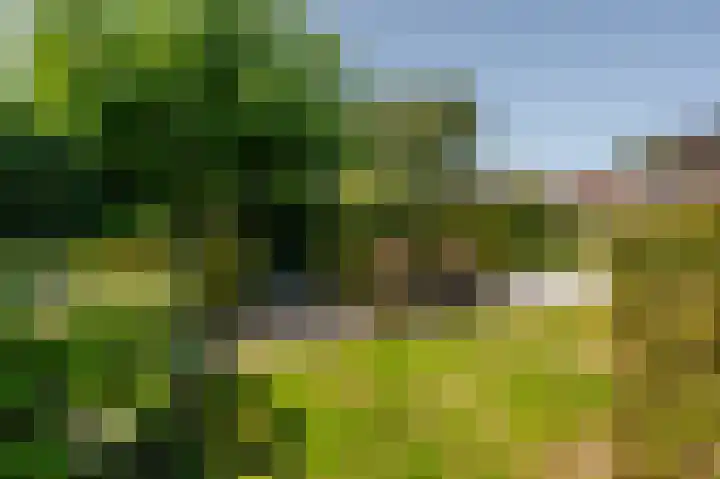 de Oppervloer 9 Meliskerke thumbnail 42