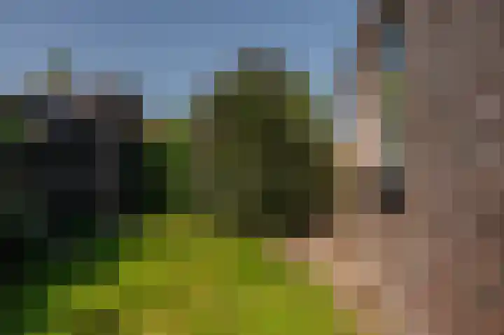 de Oppervloer 9 Meliskerke thumbnail 43