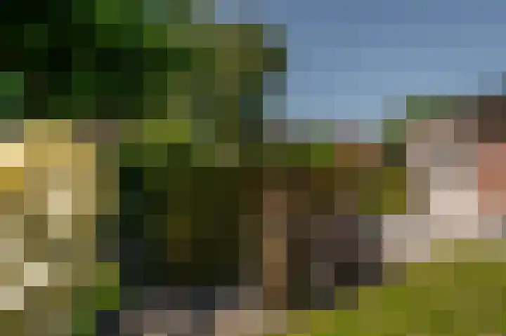 de Oppervloer 9 Meliskerke thumbnail 44