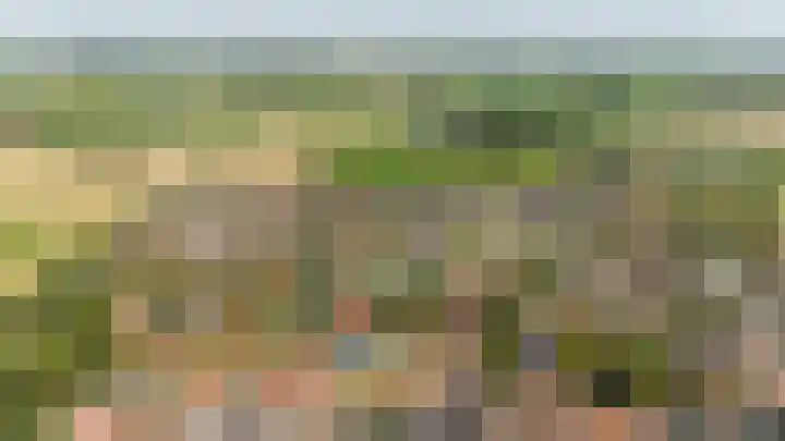 de Oppervloer 9 Meliskerke thumbnail 48